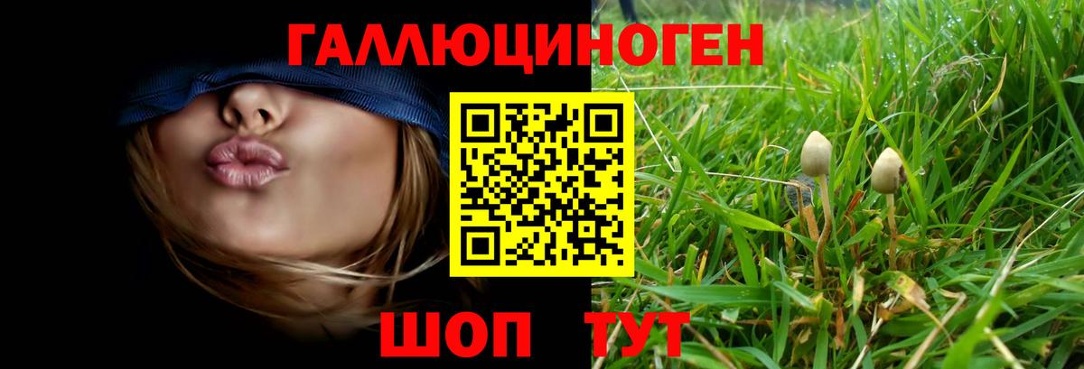 Воткинск  Псилоцибиновые грибы Psilocybe  Галлюциногенные грибы Magic Shrooms  Вход с VPN 